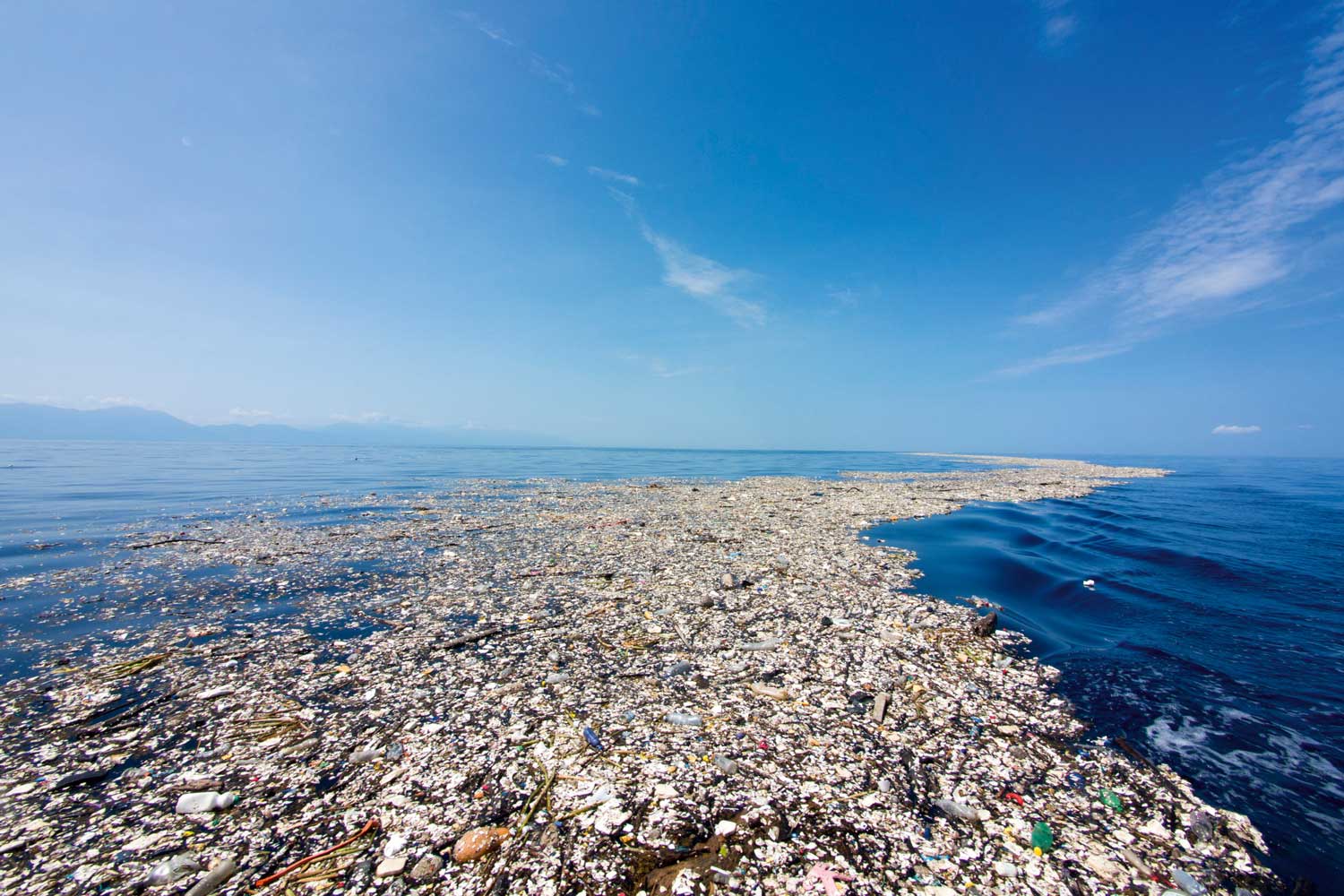 Trash on the ocean surface (Image: Caroline Power)