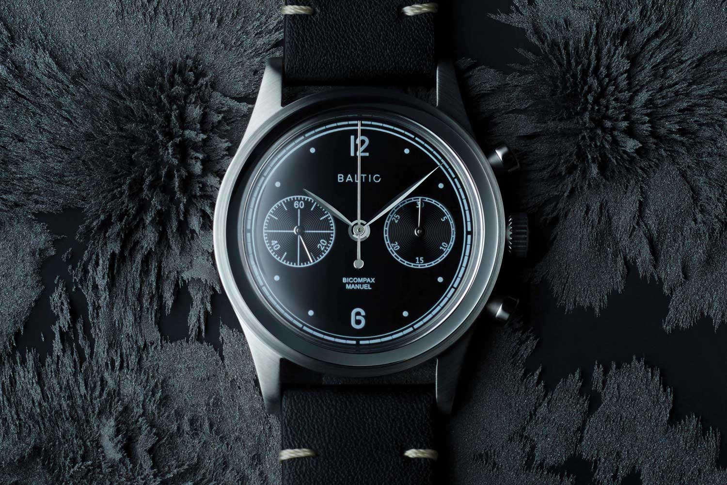 Baltic Watch
