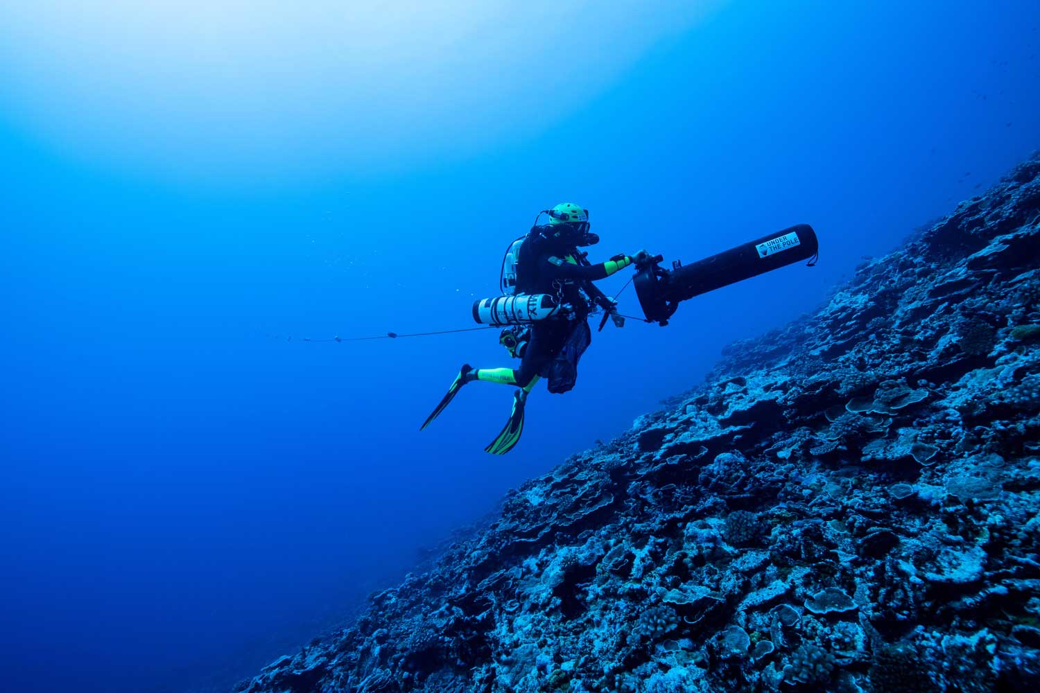Under The Pole (Image: Julien Leblond)