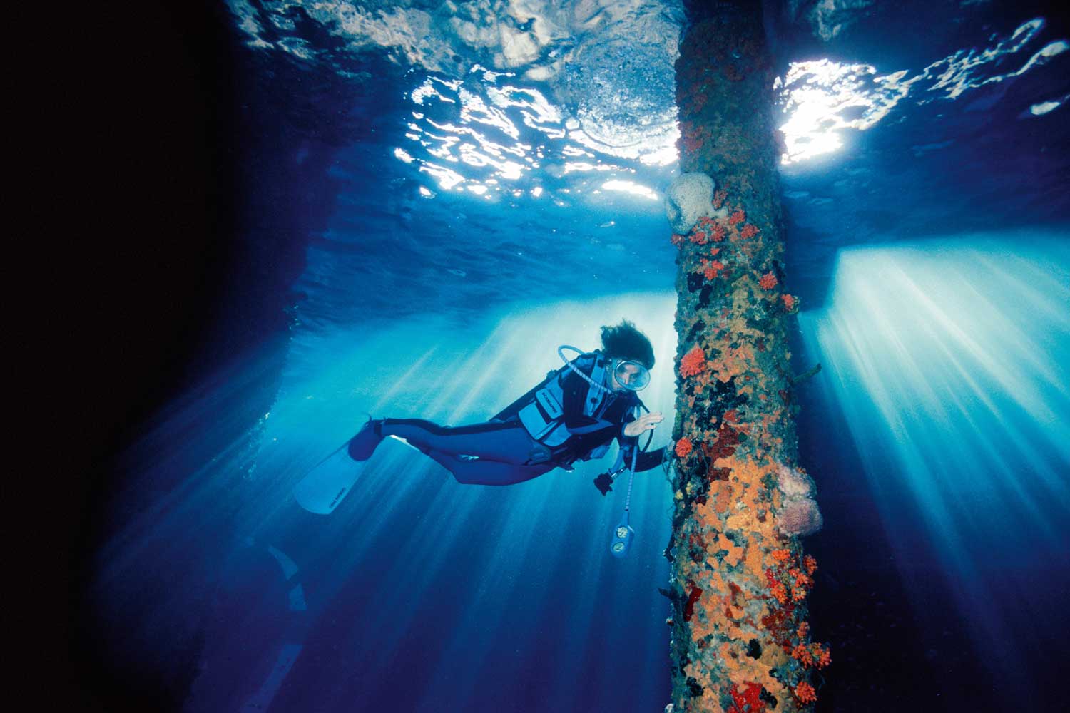 Dr. Sylvia Earle (Photo: David Doubilet)