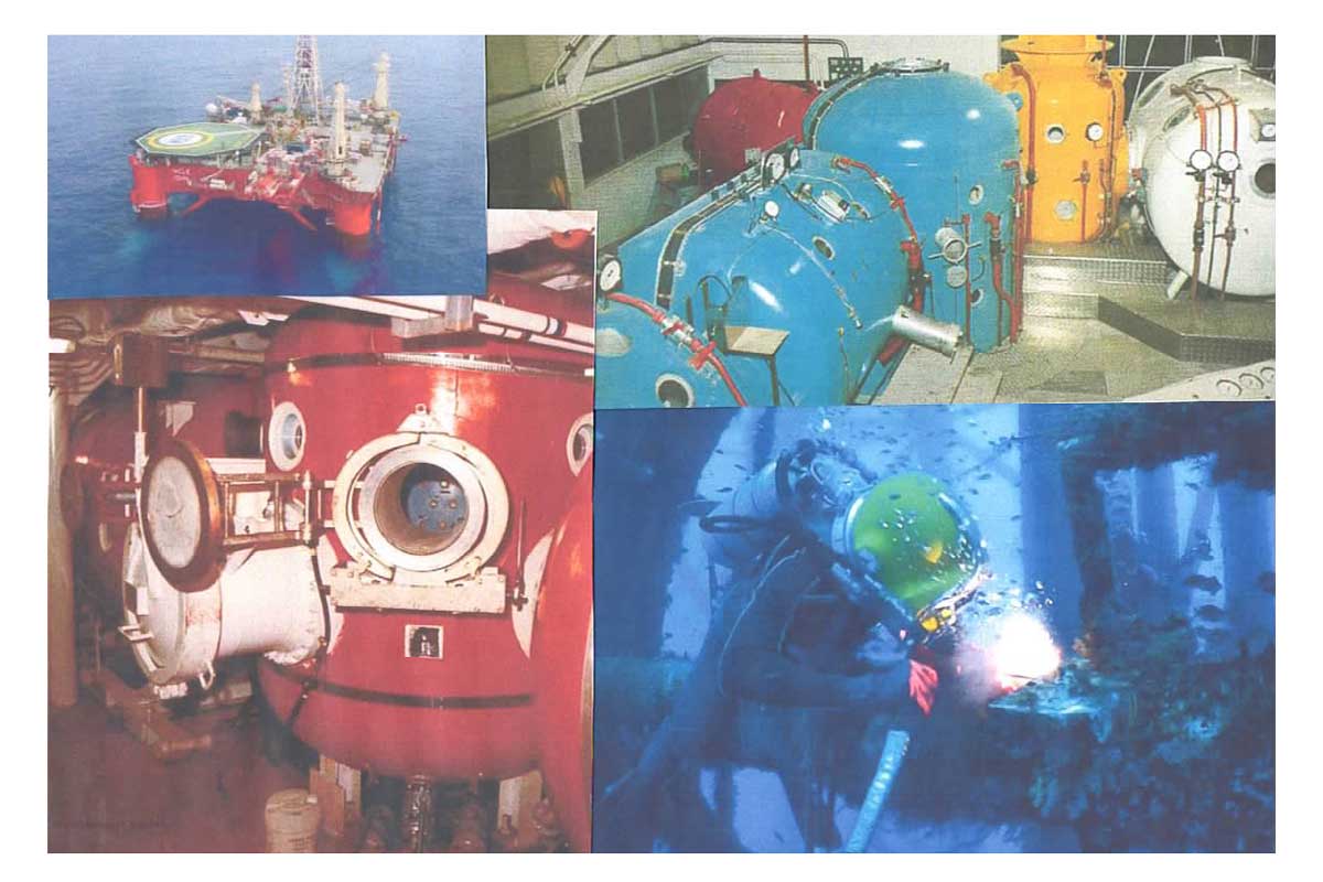 Whistler served as a Superintendent and Caisson Master at COMEX Marseilles and was present at the latter end of a series of trial dives to depths of up to 610M using Oxy/Helium to monitor physical and mental changes and HPNS (high pressure nervous syndrome) during saturation.