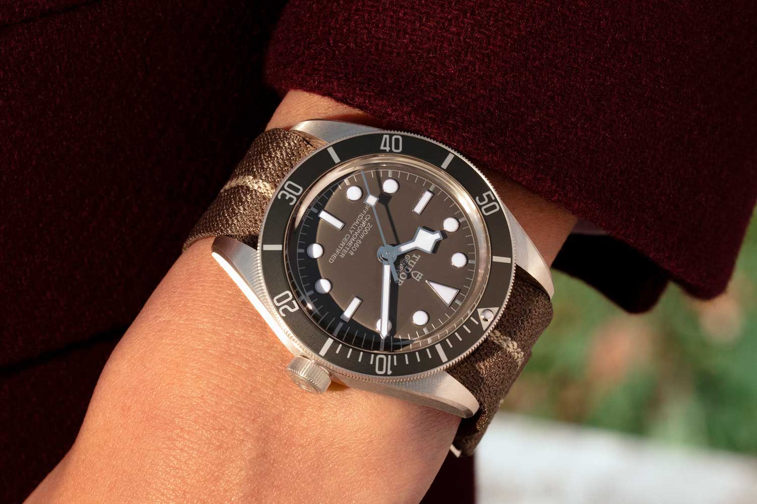 One of the new releases that impressed Seddiqi this year was the Tudor Black Bay Fifty-Eight 925 Silver.