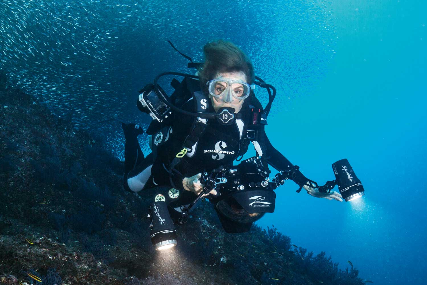Dr. Sylvia Earle at work, with a gold Datejust on the wrist