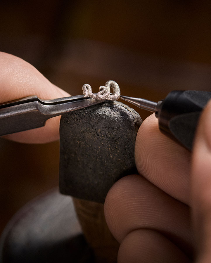 Louis Vuitton Escale en Amazonie engraving