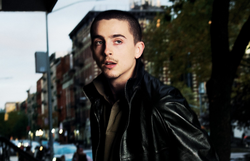 Timothée Chalamet Joins Urban Jürgensen as Partner